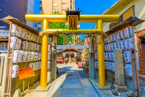 京都 金 運 神社