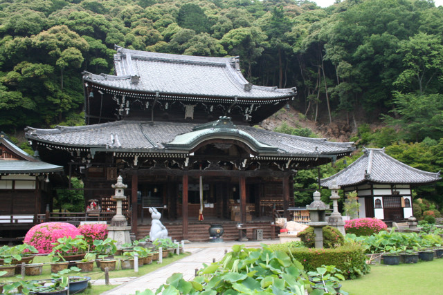 【絶景】京都の若女将が教える「初夏ならではの景色が楽しめる寺社」3選