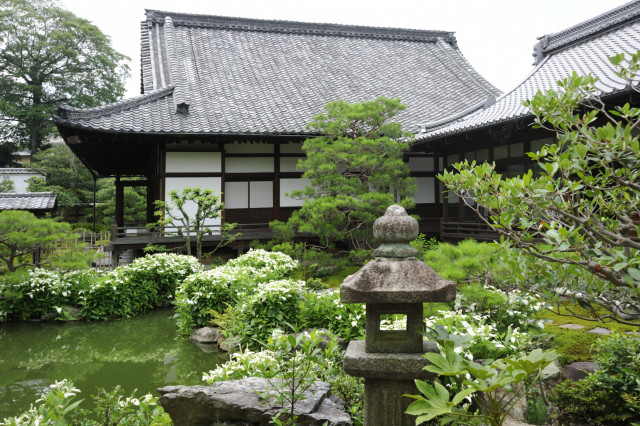 【絶景】京都の若女将が教える「初夏ならではの景色が楽しめる寺社」3選