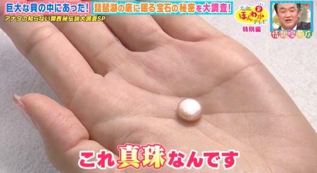 琵琶湖の真珠