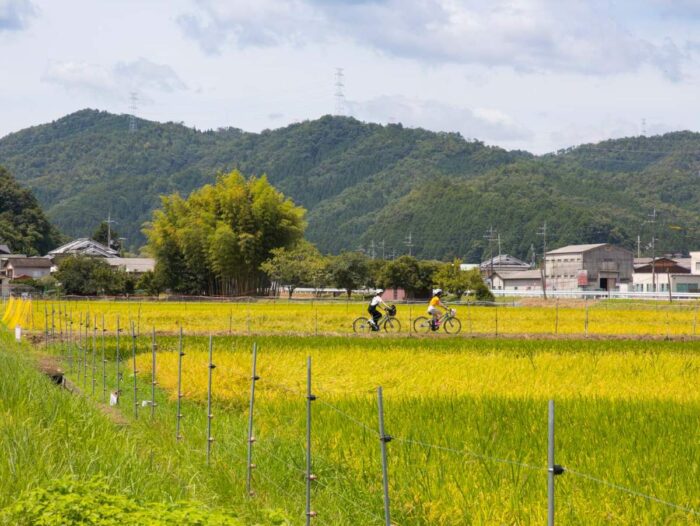 園部町