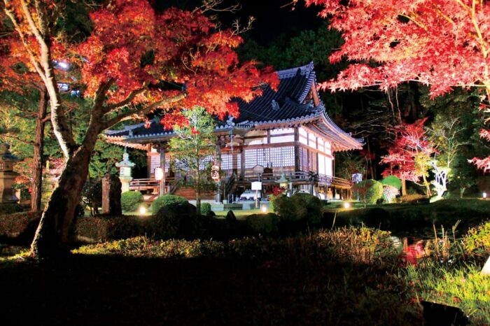 京田辺市・大御堂観音寺・紅葉ライトアップ