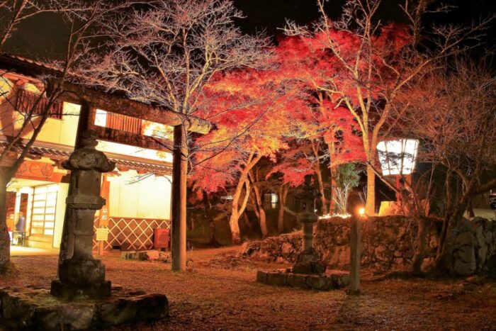 綾部市・山家城址公園・紅葉ライトアップ