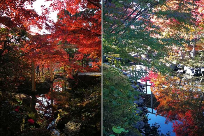 紅葉谷の小川に映る紅葉