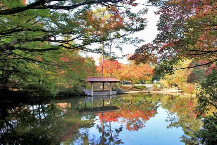 大本神苑の金竜海にリフレクションする紅葉