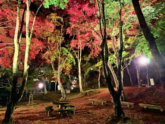 笠置町・笠置もみじ公園・紅葉ライトアップ