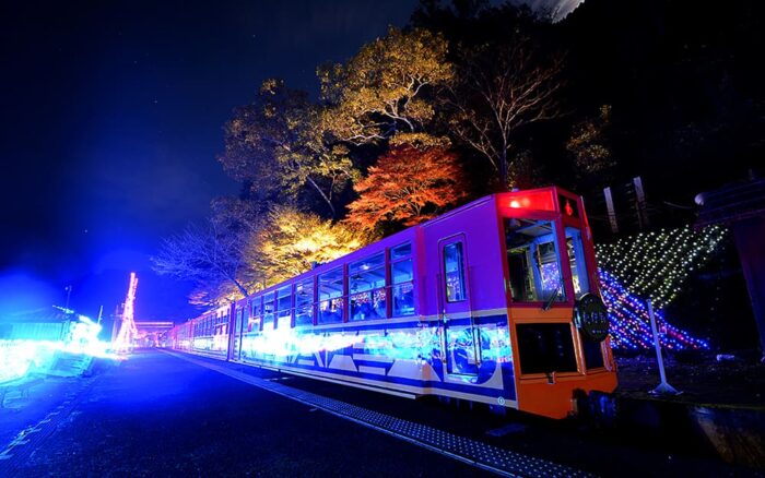 嵯峨野トロッコ列車ライトアップ画像