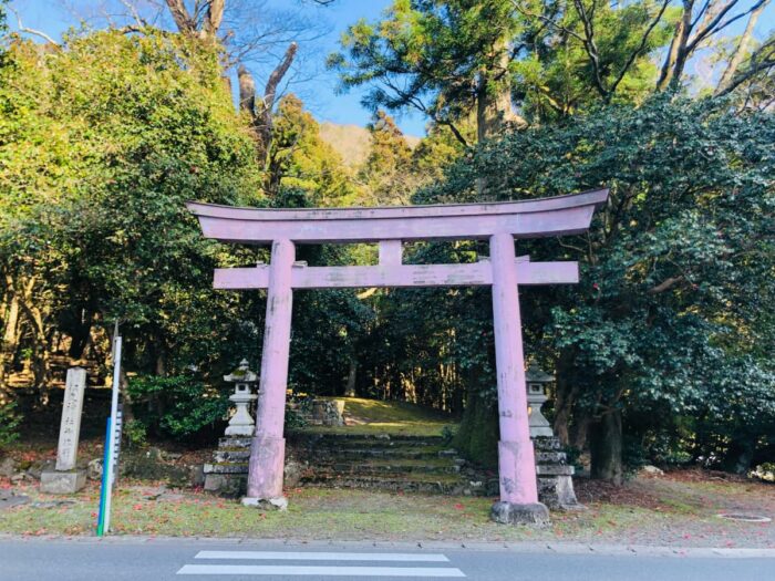 京都市・椿