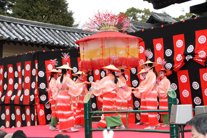 京都市・梅