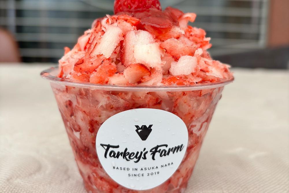 TARKEY’S FARM／米嶋農園