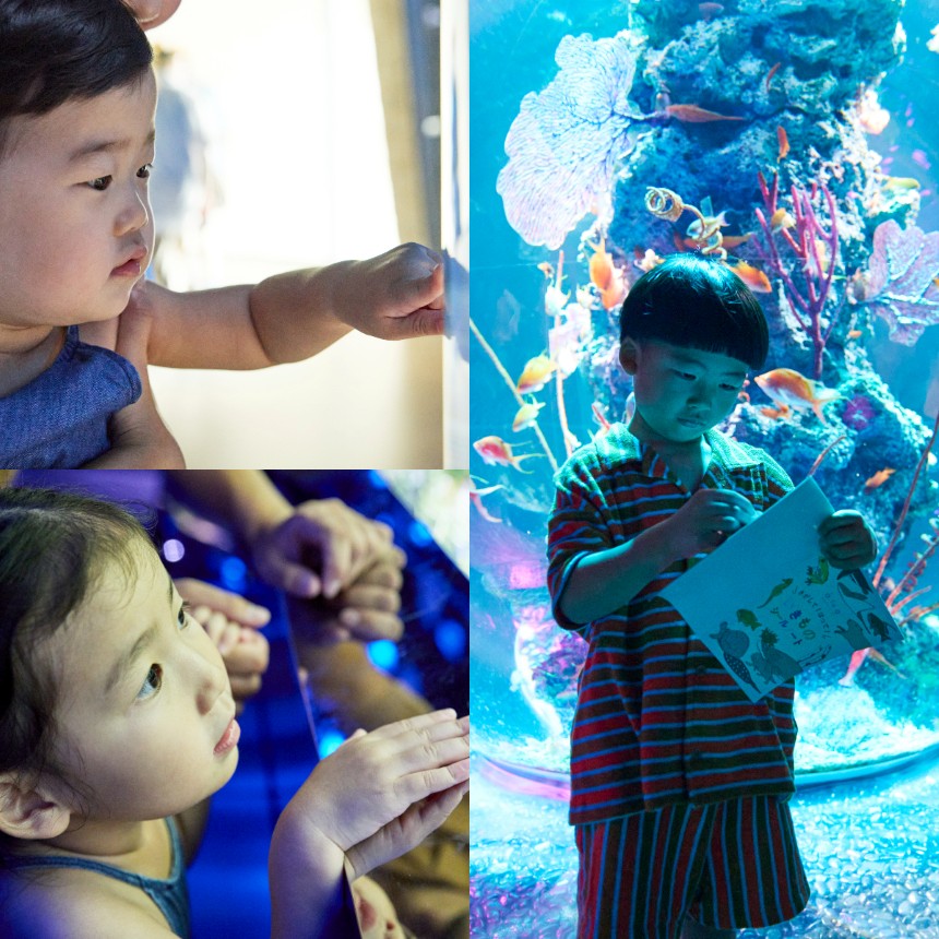 水族館｜アトア】大人1名につき幼児1名の入場料が無料!?