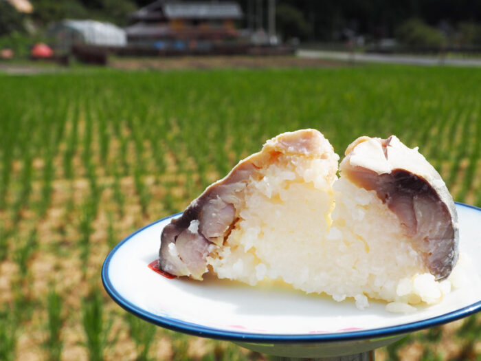 南丹市・お寿司