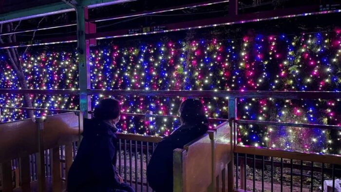 嵯峨野観光鉄道