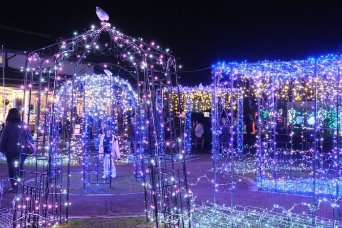 綾部夢（ドリム）ライト