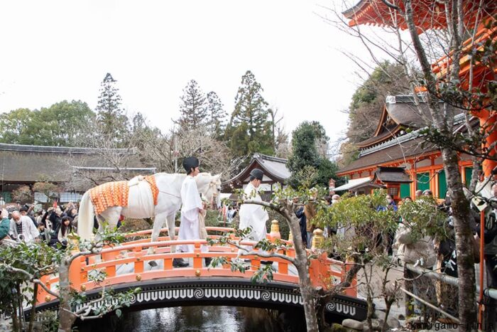 白馬奏覧神事