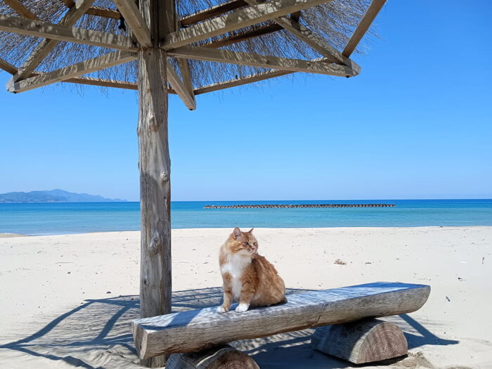 京丹後135°EAST／こまちゃん