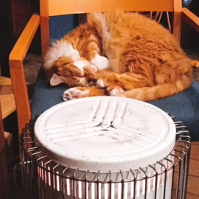 京丹後135°EAST／こまちゃん