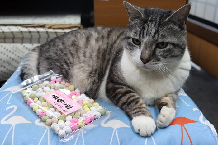 船はしや総本店／シロ店長