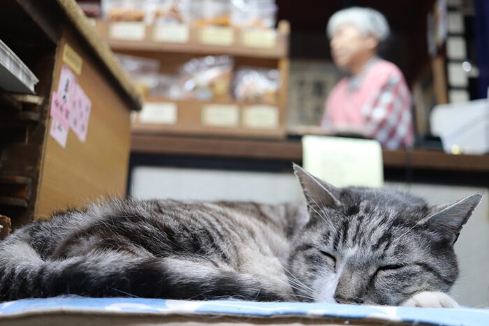 船はしや総本店／シロ店長