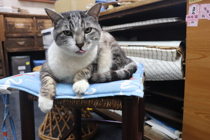 船はしや総本店／シロ店長