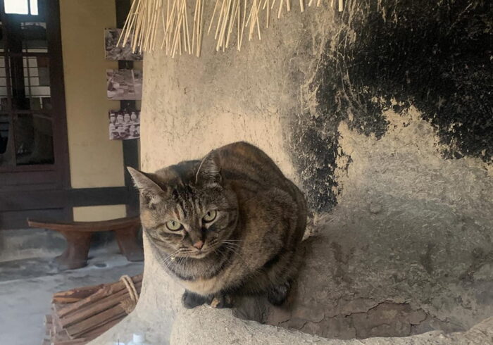 河井寛次郎記念館／えきちゃん