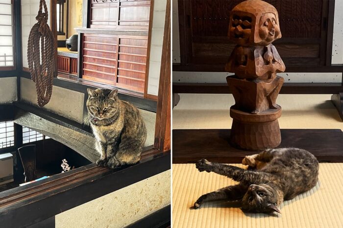 河井寛次郎記念館／えきちゃん