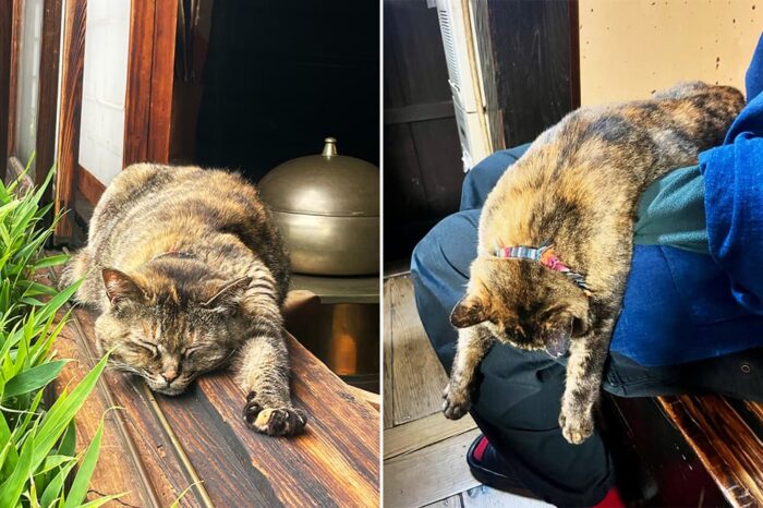 河井寛次郎記念館／えきちゃん