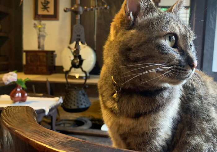 河井寛次郎記念館／えきちゃん