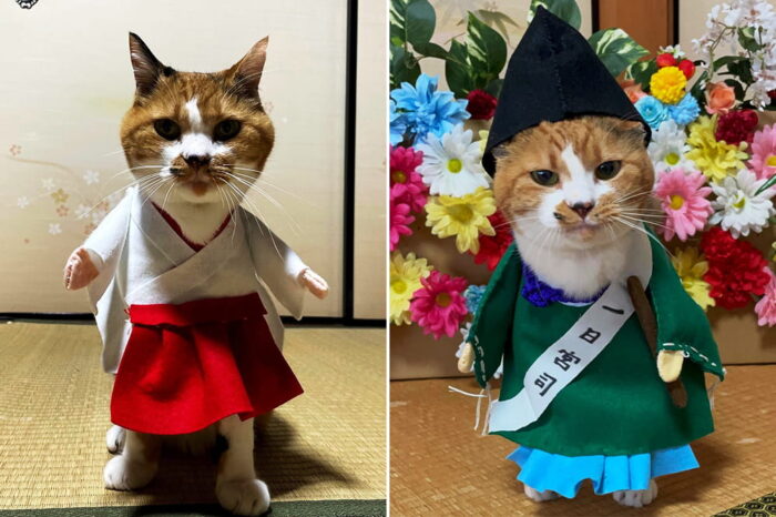 玉田神社／ミーコちゃん