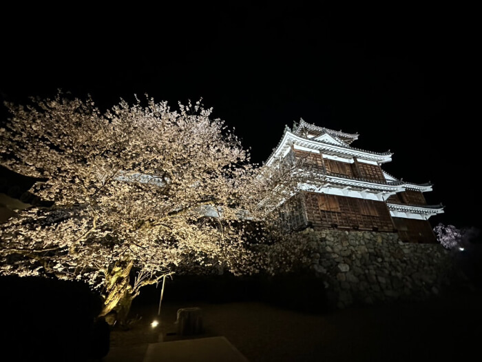 夜桜と福知山城