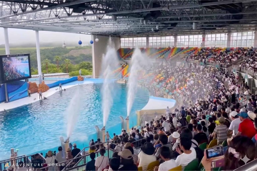 アドベンチャーワールド」の夏イベントは涼しくておもしろい！