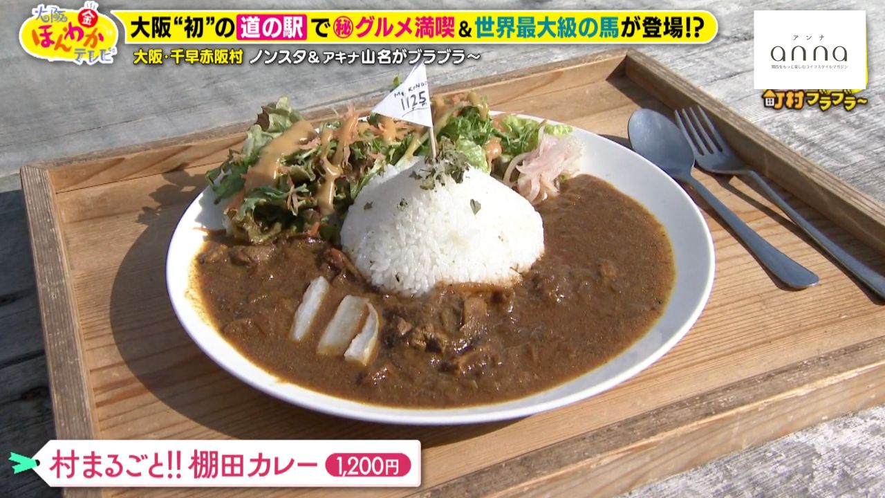 大阪に初の道の駅！絶品棚田カレーを味わおう