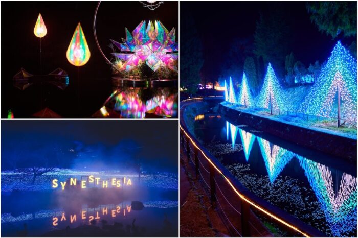 【南丹市】京都イルミネーション シナスタジアヒルズ るり渓温泉