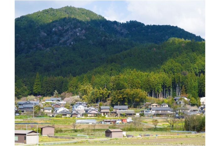 京都市