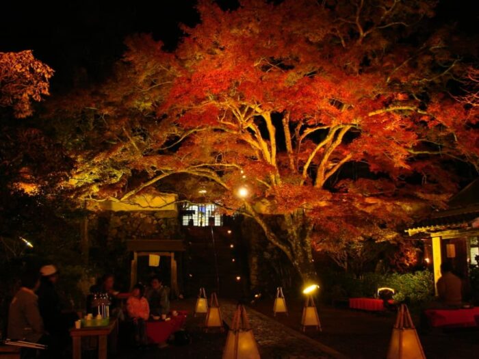 亀岡市・紅葉