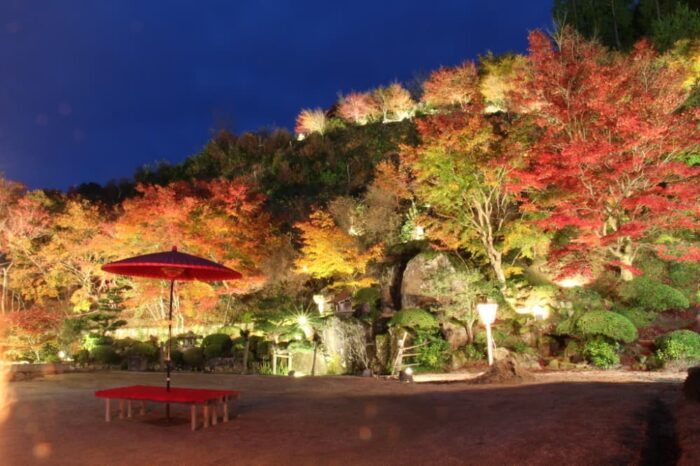 与謝野町・紅葉