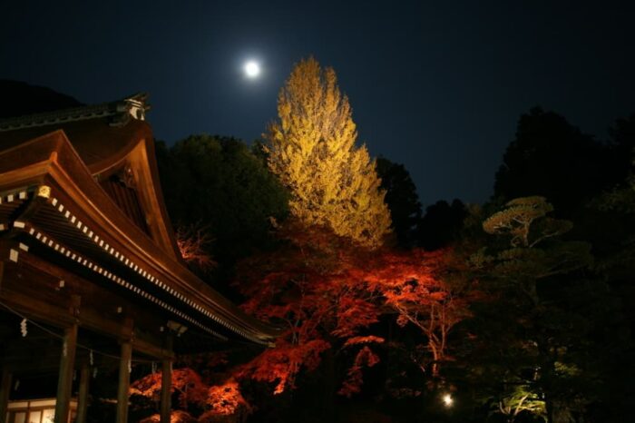 亀岡市・紅葉
