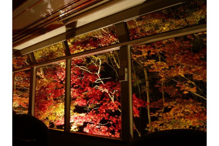 叡山電車「もみじのトンネルライトアップ」